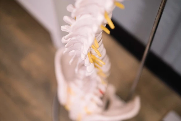 Chiropractic Huntsville AL Spine Patient Misconceptions HP Chiropractic Huntsville AL Spine Patient Misconceptions HP